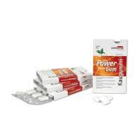 Xylitol Power Gums Mint mit Guarana Zusatz